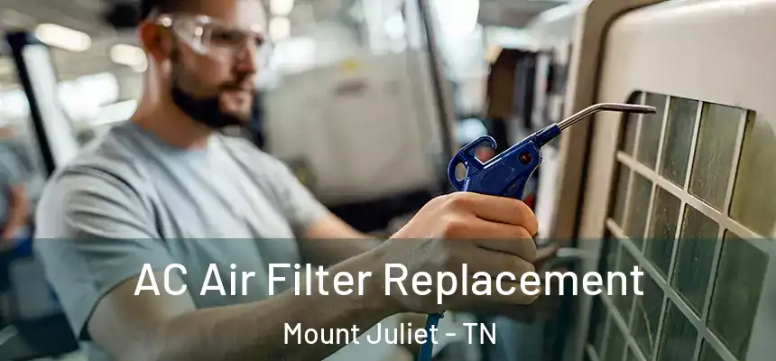 AC Air Filter Replacement Mount Juliet - TN