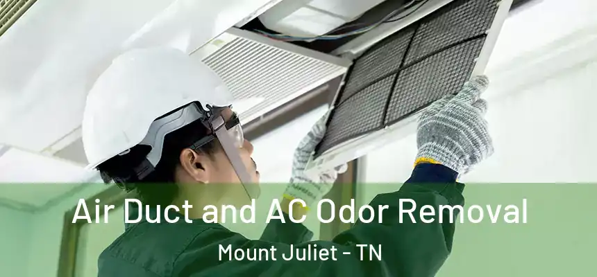  Air Duct and AC Odor Removal Mount Juliet - TN