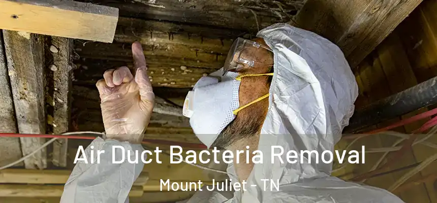 Air Duct Bacteria Removal Mount Juliet - TN