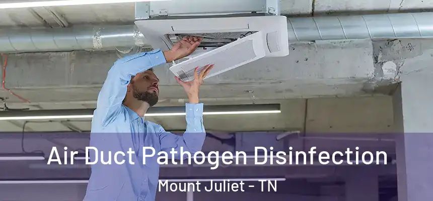  Air Duct Pathogen Disinfection Mount Juliet - TN