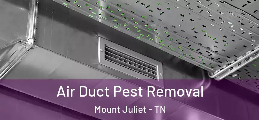 Air Duct Pest Removal Mount Juliet - TN