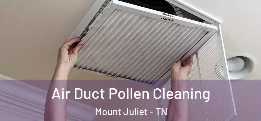 Air Duct Pollen Cleaning Mount Juliet - TN