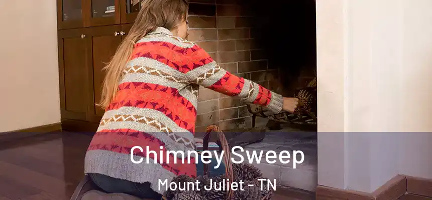 Chimney Sweep Mount Juliet - TN