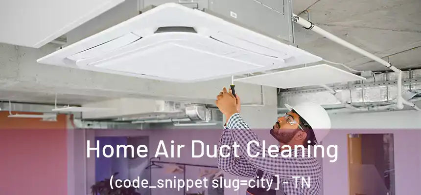 Home Air Duct Cleaning (code_snippet slug=city] - TN