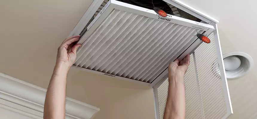 Preventive Cockroach-Proofing for Ducts in Mount Juliet
