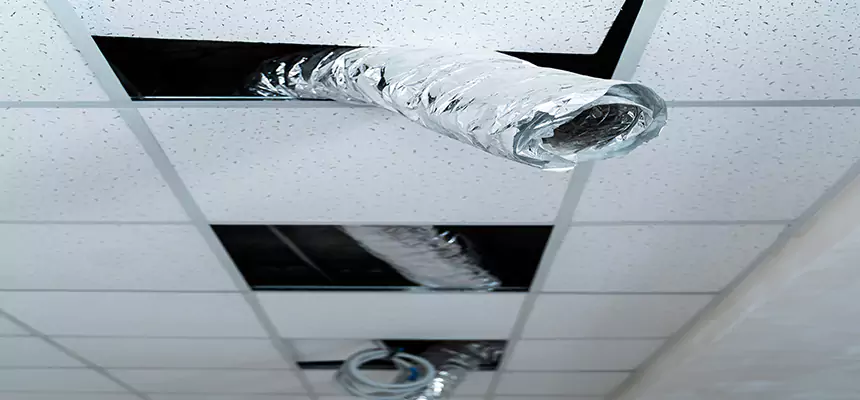 Our Air Duct Pet Hair Removal Services in Mount Juliet, TN