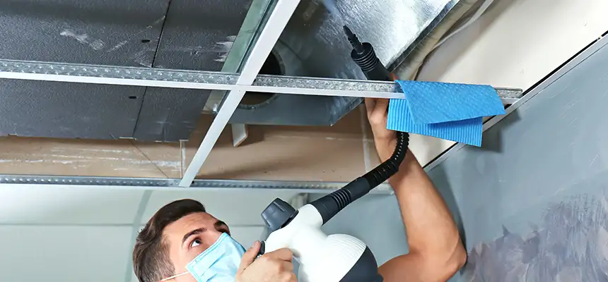 Our Air Duct Rodent Removal Services in Mount Juliet, TN