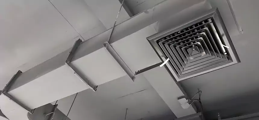 Restorative Allergy Relief Vent Cleaning – Coil, Blower & Housing Detail in Mount Juliet