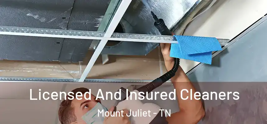  Licensed And Insured Cleaners Mount Juliet - TN