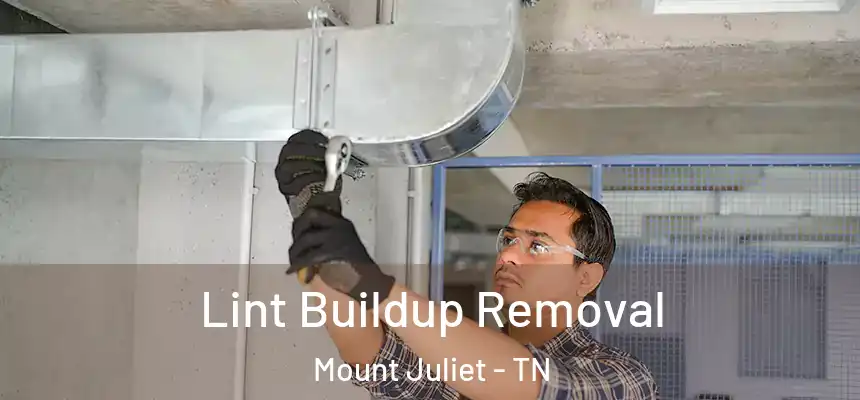 Lint Buildup Removal Mount Juliet - TN