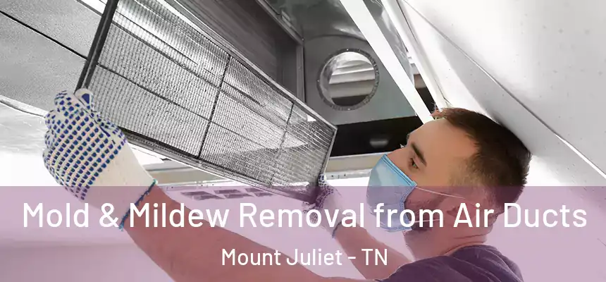Mold & Mildew Removal from Air Ducts Mount Juliet - TN