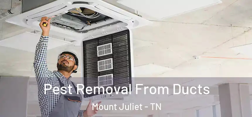  Pest Removal From Ducts Mount Juliet - TN
