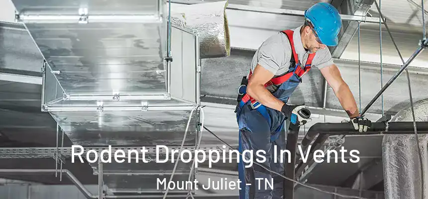  Rodent Droppings In Vents Mount Juliet - TN