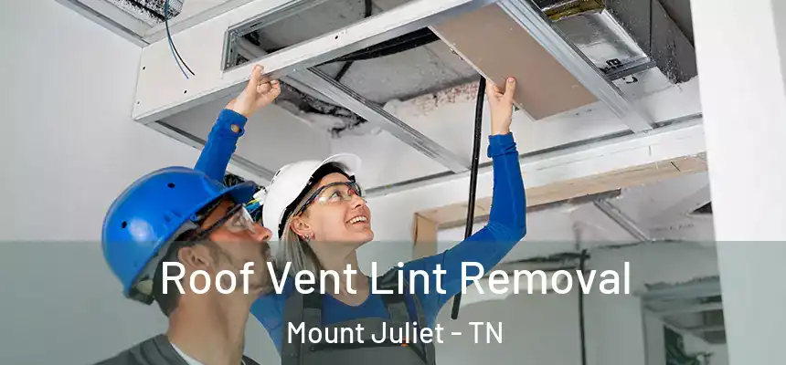 Roof Vent Lint Removal Mount Juliet - TN