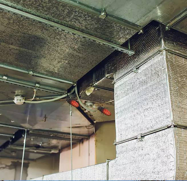 Why Homeowners & Businesses Trust Us in Mount Juliet, TN?