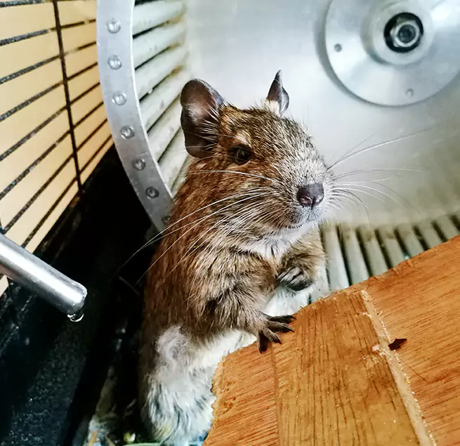 Why Homeowners & Businesses Trust Us Mount Juliet, TN?