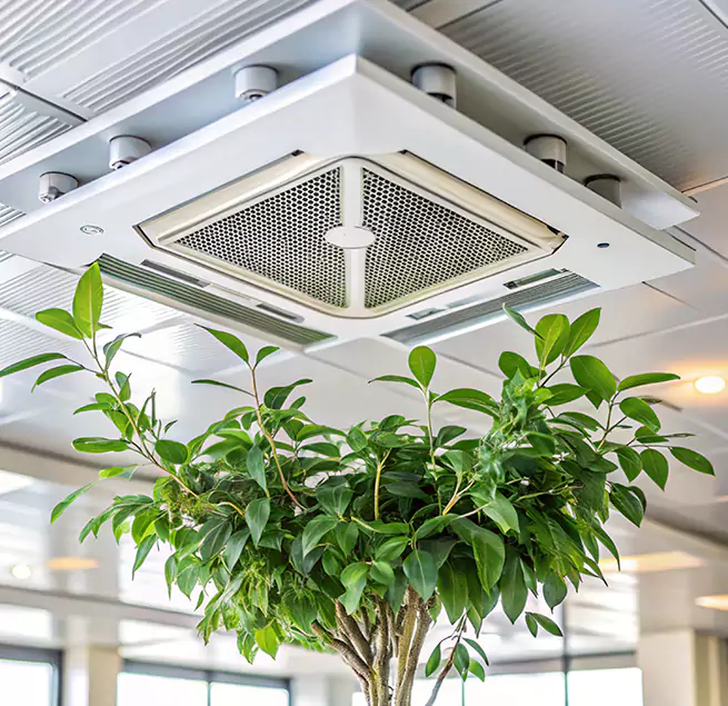 Why Homeowners & Businesses Trust Us in Mount Juliet, TN