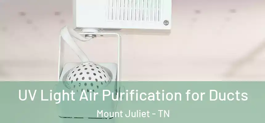 UV Light Air Purification for Ducts Mount Juliet - TN
